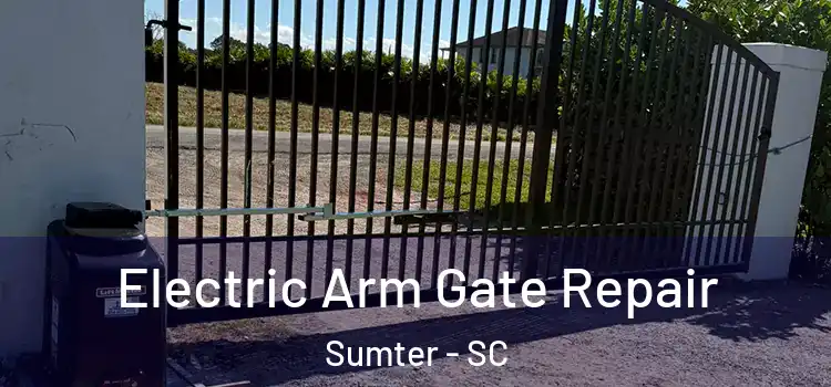 Electric Arm Gate Repair Sumter - SC
