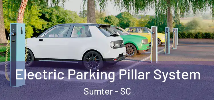 Electric Parking Pillar System Sumter - SC