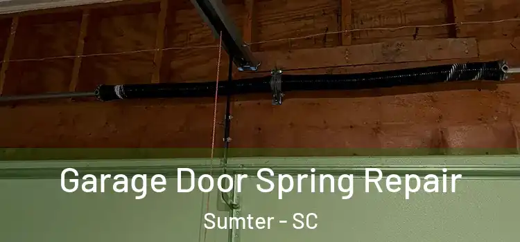  Garage Door Spring Repair Sumter - SC