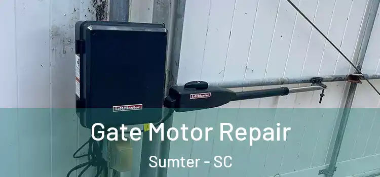 Gate Motor Repair Sumter - SC