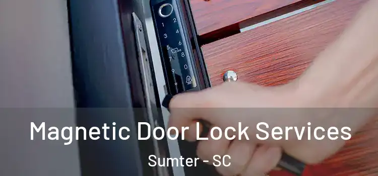 Magnetic Door Lock Services Sumter - SC