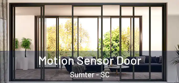 Motion Sensor Door Sumter - SC
